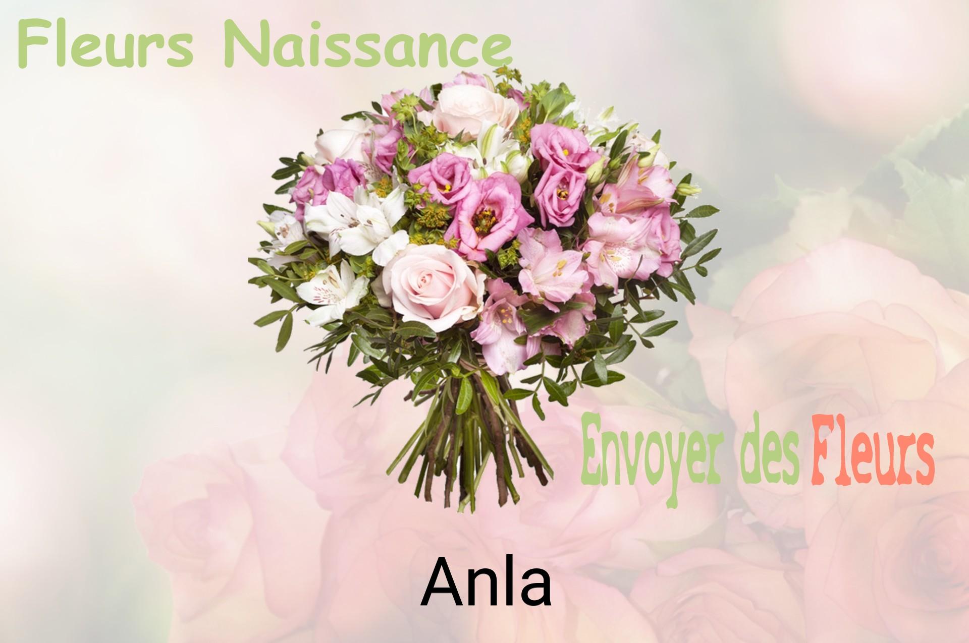 Bouquet de fleurs de naissance livré à Anla